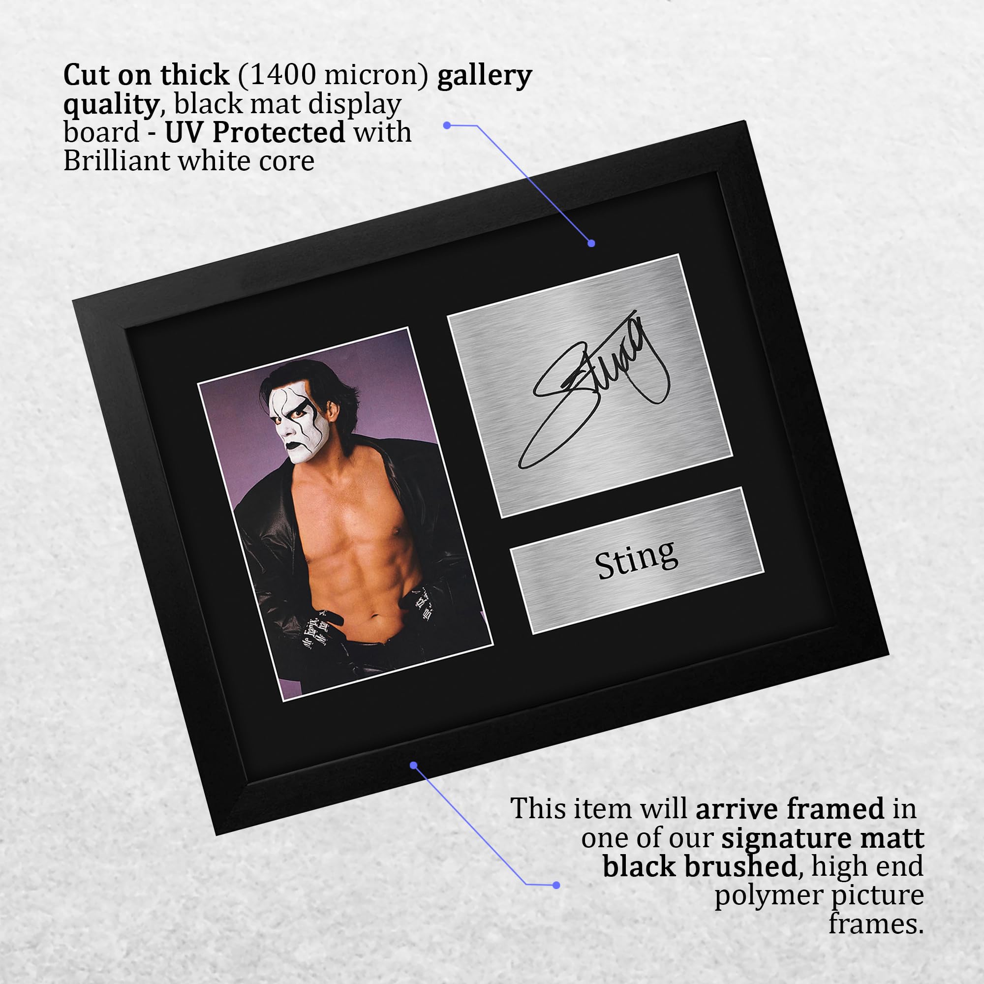 Amazon.com: HWC Trading Sting Framed Gift Signed Printed Autograph